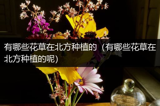 有哪些花草在北方种植的（有哪些花草在北方种植的呢）