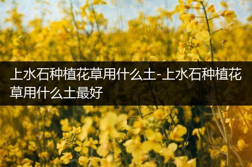 上水石种植花草用什么土-上水石种植花草用什么土最好