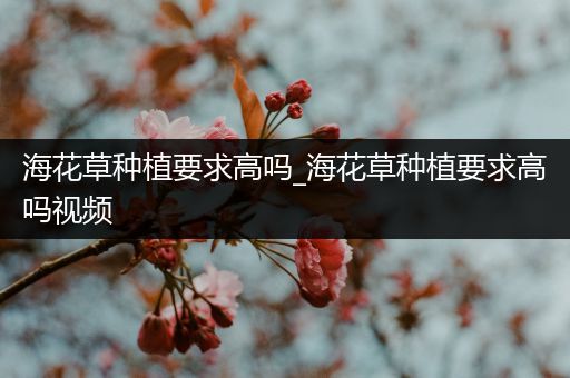 海花草种植要求高吗_海花草种植要求高吗视频