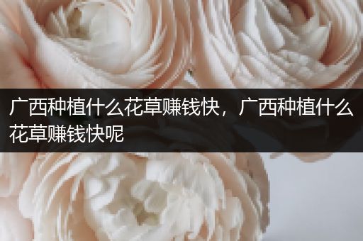 广西种植什么花草赚钱快，广西种植什么花草赚钱快呢