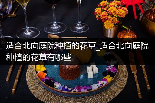 适合北向庭院种植的花草_适合北向庭院种植的花草有哪些