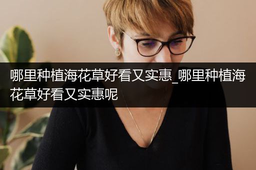 哪里种植海花草好看又实惠_哪里种植海花草好看又实惠呢