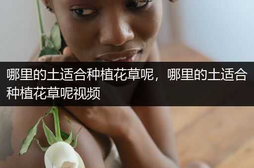 哪里的土适合种植花草呢，哪里的土适合种植花草呢视频