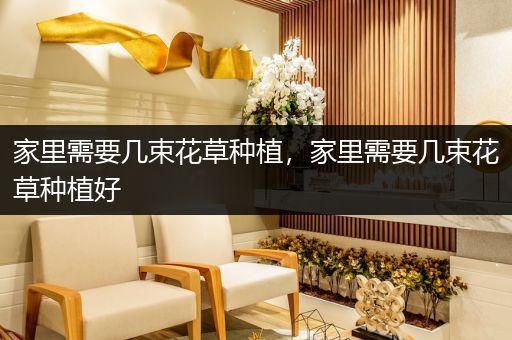 家里需要几束花草种植，家里需要几束花草种植好