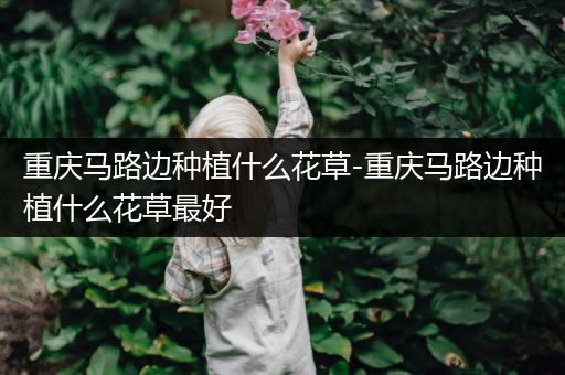 重庆马路边种植什么花草-重庆马路边种植什么花草最好