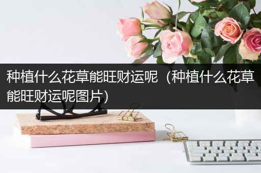 种植什么花草能旺财运呢（种植什么花草能旺财运呢图片）