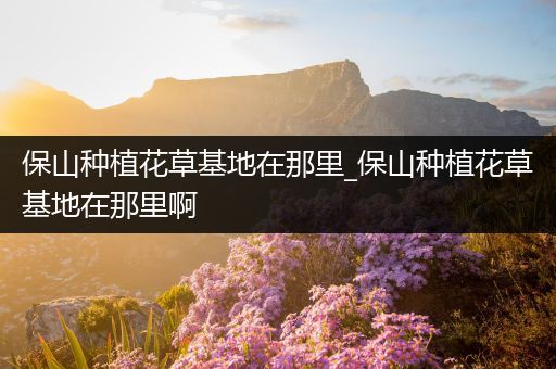保山种植花草基地在那里_保山种植花草基地在那里啊