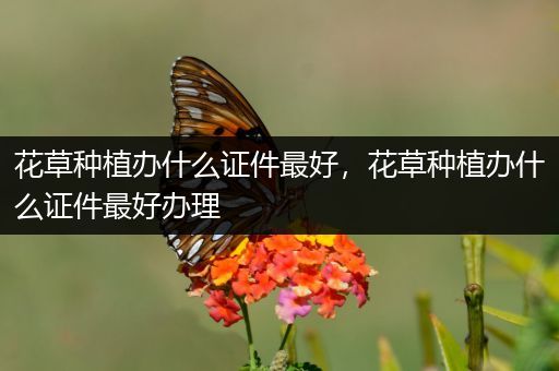 花草种植办什么证件最好，花草种植办什么证件最好办理