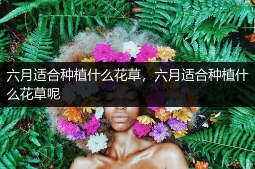 六月适合种植什么花草，六月适合种植什么花草呢