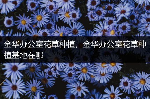 金华办公室花草种植，金华办公室花草种植基地在哪
