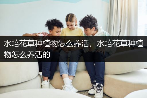 水培花草种植物怎么养活，水培花草种植物怎么养活的
