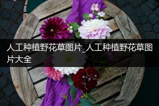 人工种植野花草图片_人工种植野花草图片大全