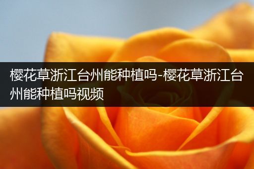 樱花草浙江台州能种植吗-樱花草浙江台州能种植吗视频