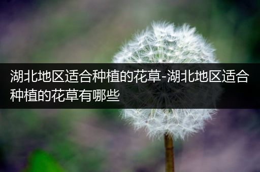 湖北地区适合种植的花草-湖北地区适合种植的花草有哪些