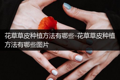 花草草皮种植方法有哪些-花草草皮种植方法有哪些图片