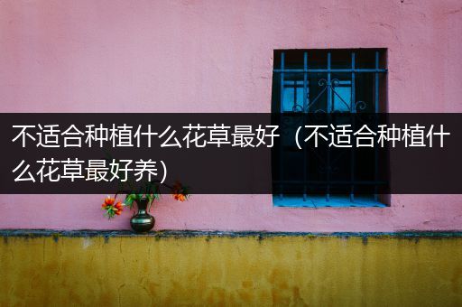 不适合种植什么花草最好（不适合种植什么花草最好养）