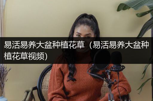 易活易养大盆种植花草（易活易养大盆种植花草视频）