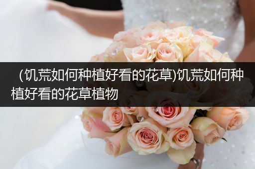 （饥荒如何种植好看的花草)饥荒如何种植好看的花草植物