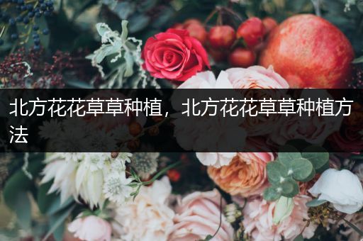 北方花花草草种植，北方花花草草种植方法
