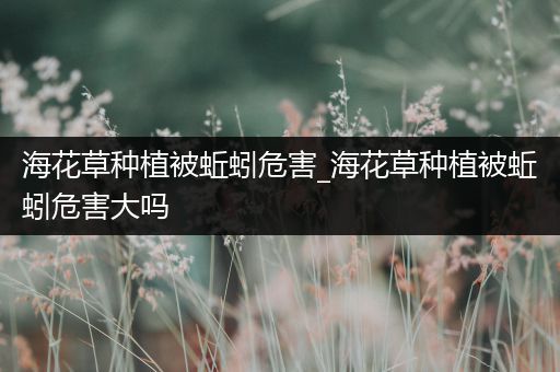海花草种植被蚯蚓危害_海花草种植被蚯蚓危害大吗