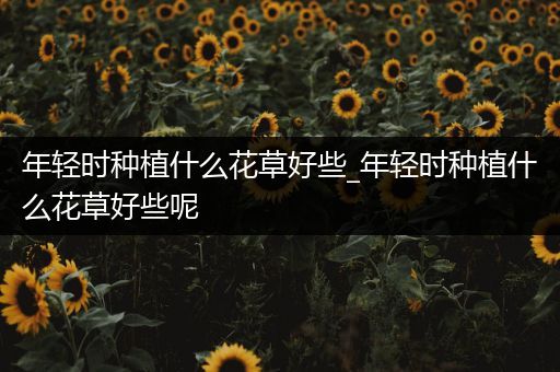 年轻时种植什么花草好些_年轻时种植什么花草好些呢