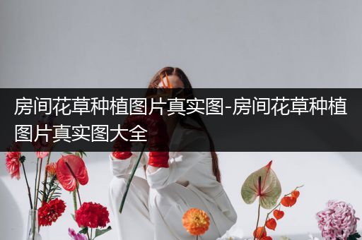 房间花草种植图片真实图-房间花草种植图片真实图大全
