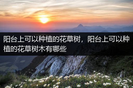 阳台上可以种植的花草树，阳台上可以种植的花草树木有哪些