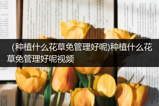 （种植什么花草免管理好呢)种植什么花草免管理好呢视频