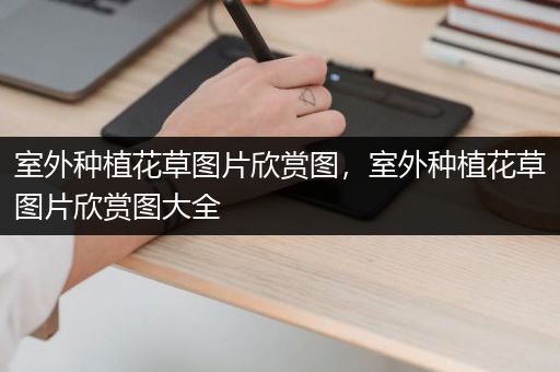 室外种植花草图片欣赏图，室外种植花草图片欣赏图大全
