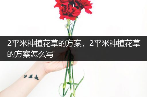 2平米种植花草的方案，2平米种植花草的方案怎么写