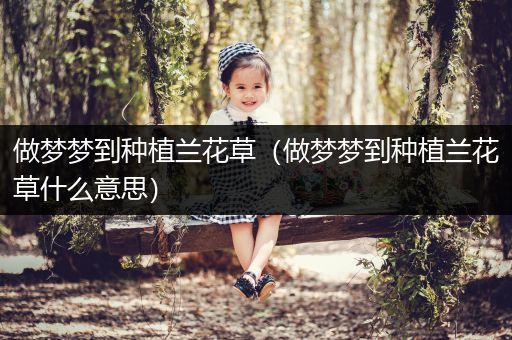 做梦梦到种植兰花草（做梦梦到种植兰花草什么意思）