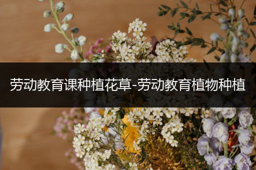 劳动教育课种植花草-劳动教育植物种植