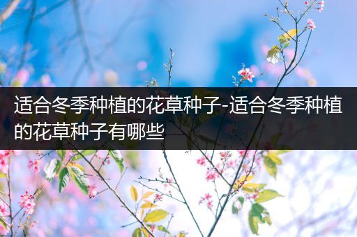 适合冬季种植的花草种子-适合冬季种植的花草种子有哪些
