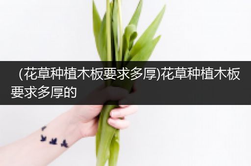 （花草种植木板要求多厚)花草种植木板要求多厚的