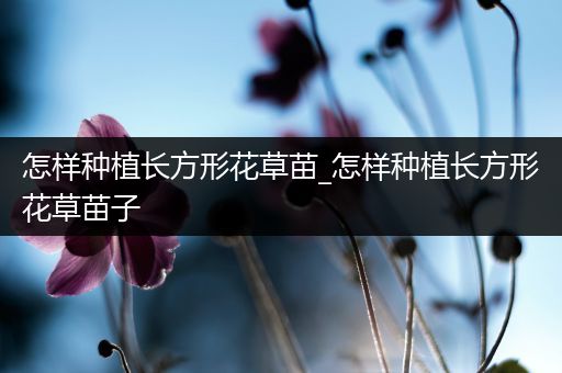 怎样种植长方形花草苗_怎样种植长方形花草苗子