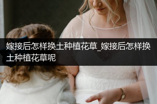 嫁接后怎样换土种植花草_嫁接后怎样换土种植花草呢