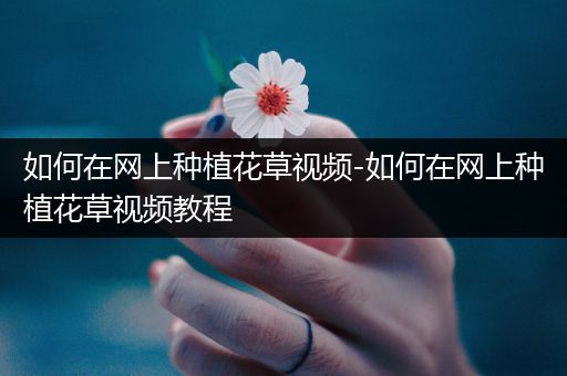 如何在网上种植花草视频-如何在网上种植花草视频教程