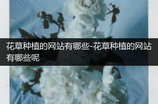 花草种植的网站有哪些-花草种植的网站有哪些呢