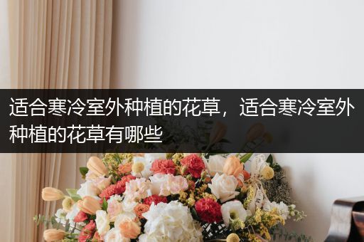 适合寒冷室外种植的花草，适合寒冷室外种植的花草有哪些