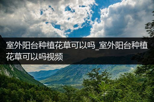室外阳台种植花草可以吗_室外阳台种植花草可以吗视频