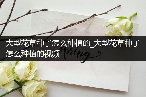 大型花草种子怎么种植的_大型花草种子怎么种植的视频