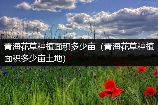 青海花草种植面积多少亩（青海花草种植面积多少亩土地）