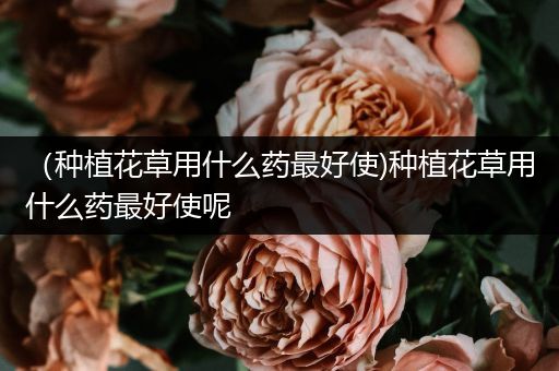 （种植花草用什么药最好使)种植花草用什么药最好使呢