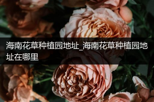 海南花草种植园地址_海南花草种植园地址在哪里