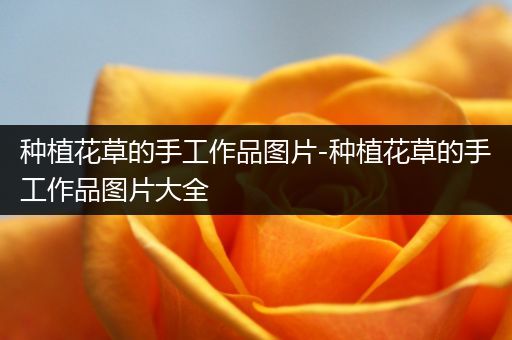 种植花草的手工作品图片-种植花草的手工作品图片大全