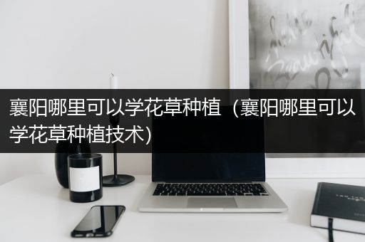 襄阳哪里可以学花草种植（襄阳哪里可以学花草种植技术）
