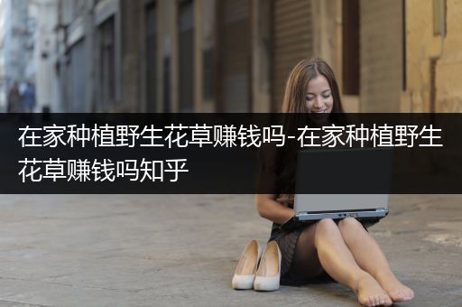 在家种植野生花草赚钱吗-在家种植野生花草赚钱吗知乎