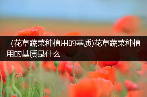 （花草蔬菜种植用的基质)花草蔬菜种植用的基质是什么