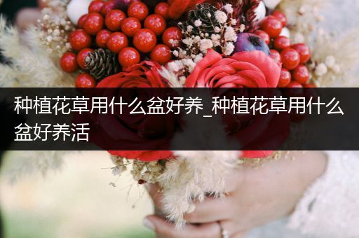 种植花草用什么盆好养_种植花草用什么盆好养活