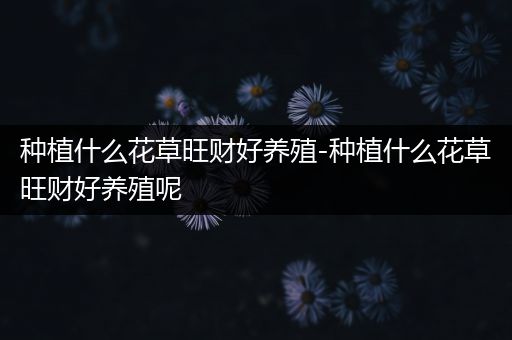 种植什么花草旺财好养殖-种植什么花草旺财好养殖呢